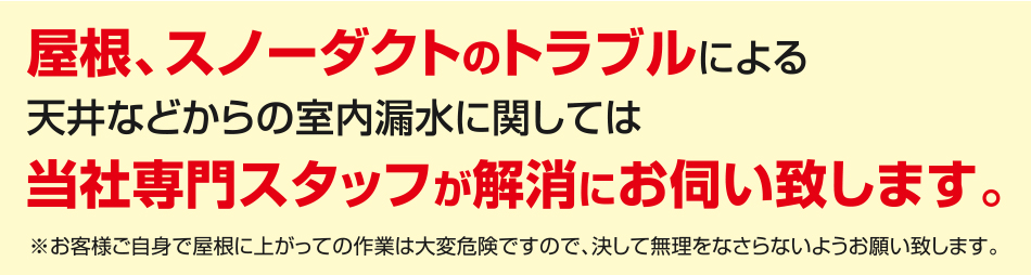 屋根、スノーダクトのトラブルによる天井などからの室内漏水に関しては当社専門スタッフが解消にお伺い致します。